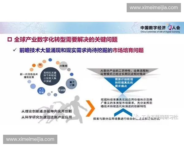 职业体育发展与全球化趋势下的产业变革与创新路径探讨